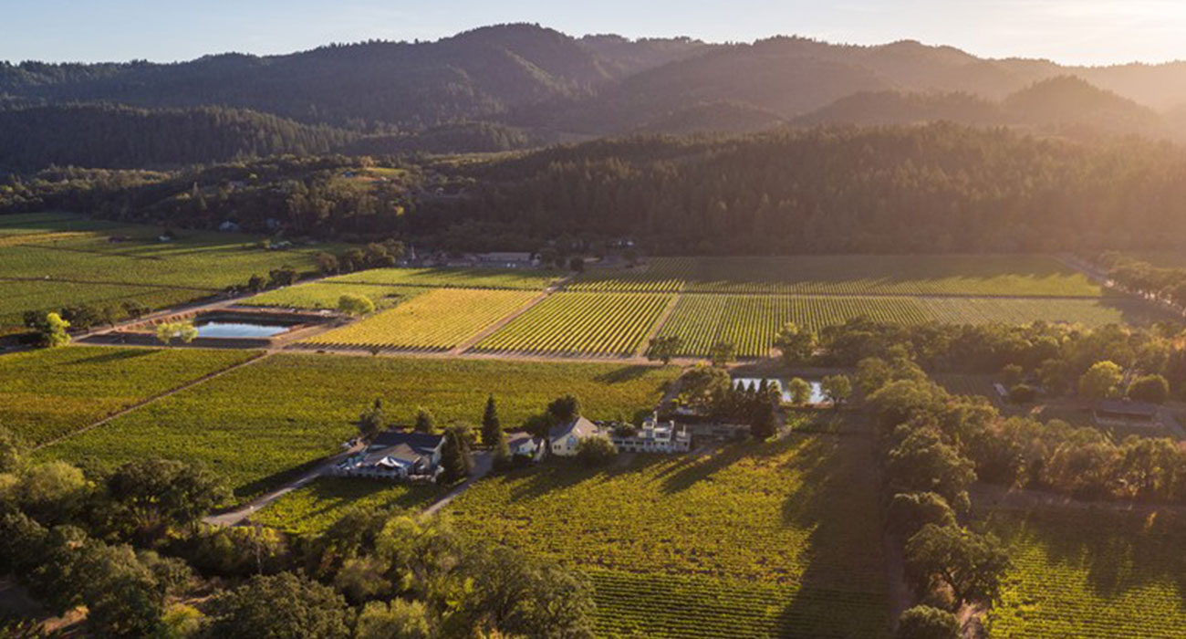 Tips for a Self-Guided Driving Tour of Napa Valley Wine Country -  WanderWisdom